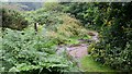 A Cornish Mining Walk