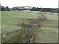 Stream running off the Black Mountains