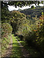 Path into the Inny valley