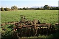 Field, Carr Hill