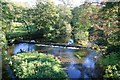 River Leven, Upstream from the Bridge