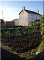 Garden in Tregadillett