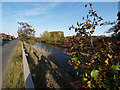 The Sheffield and South Yorkshire navigation at Kilnhurst