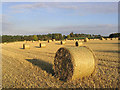 Harvest bales