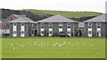 Houses and Playing field, Aberaeron