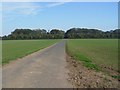 The Road to Wold House Farm