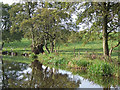 Grazing Land by the Caldon Canal, Staffordshire