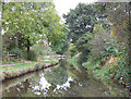 Caldon Canal, Abbey Hulton, Staffordshire