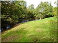 Bechan Brook at Pont y Perchyll