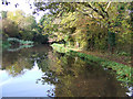 Staffordshire and Worcestershire Canal near Baswich, Staffordshire