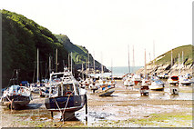 SS5548 : Watermouth Bay by Dave Skinner