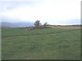 View WNW from the graveyard near Galton