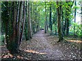 Footpath, The Lawn, Swindon