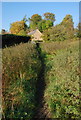 Through the nettles to Stoney Middleton