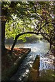 Mill race on River Meon at Droxford