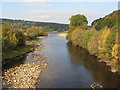 River South Tyne looking downstream from Eals Bridge