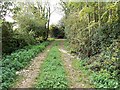 Footpath north of South Marston, Swindon