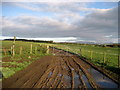 Ribble Way near Wigglesworth Hall Farm