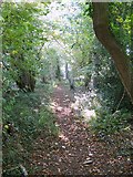 SU0522 : Bridleway from Knighton Wood to the Ox Drove by Maigheach-gheal