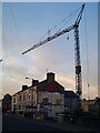 Crane, Princetown Road [1]