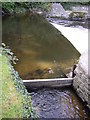 Weir on the Afon Aeron, Aberaeron