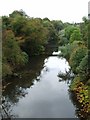 River Kelvin