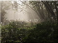 Railway embankment in the morning mist