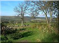 Girvan Valley View