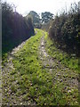 Lane near Marton Lane Farm