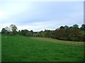 Looking towards Whygill from Goodlie Hill