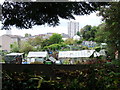 Allotment gardens