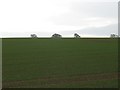 Arable land, Haddon