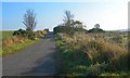 Paved farm road with fields on the sides