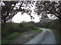 Country road north-west of Holsworthy (2)