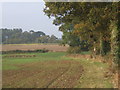 Countryside footpath at field edge.  Near Brettenham.