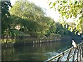 The Grand Union Canal, Brentford