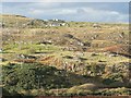 Bettyhill: lots of poles