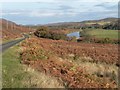 NC7155 : Strathnaver: road and river head for the coast by Chris Downer