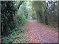 Swindon: Dismantled railway line near Okus