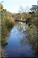 Looking downstream from Bow Brig