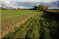 Field to the west of Mitre farm