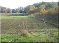 Field and woodland edge near Earl Stonham