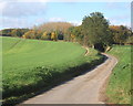 Looking up Mill Lane from the junction with Fen Lane