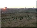 Aberdeen: Trinity Cemetery at sunset