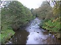 The River Esk at Lealholm