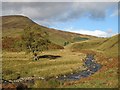 Glenshervie Burn