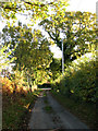 Looking NE towards junction with the B1149 (Holt Road)