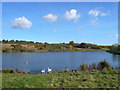 Holmebrook Valley Park - Fishing Lake