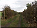 Footpath down farm access track