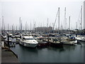 Milford Haven marina